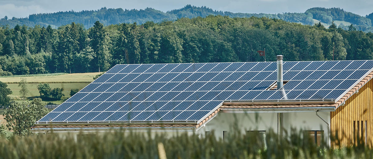 Dach Wiese Solar Wald Haus Energie Holz