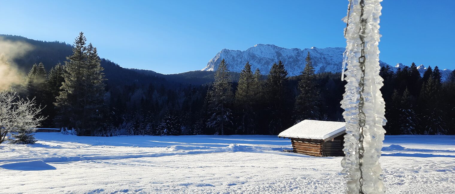 Winter Schnee Eiszapfen Himmel Landschaft Ferien